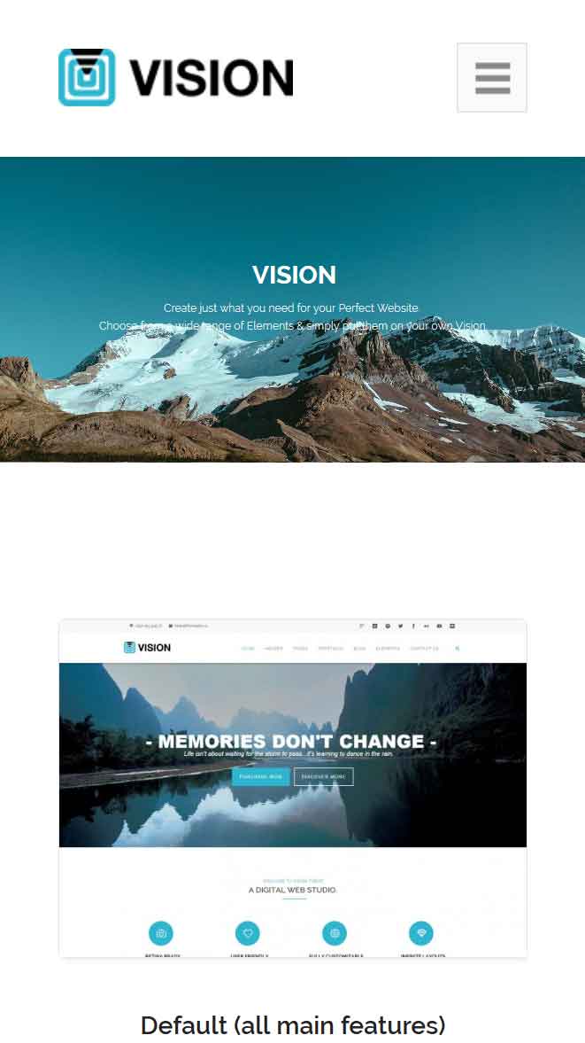 Vision Vision