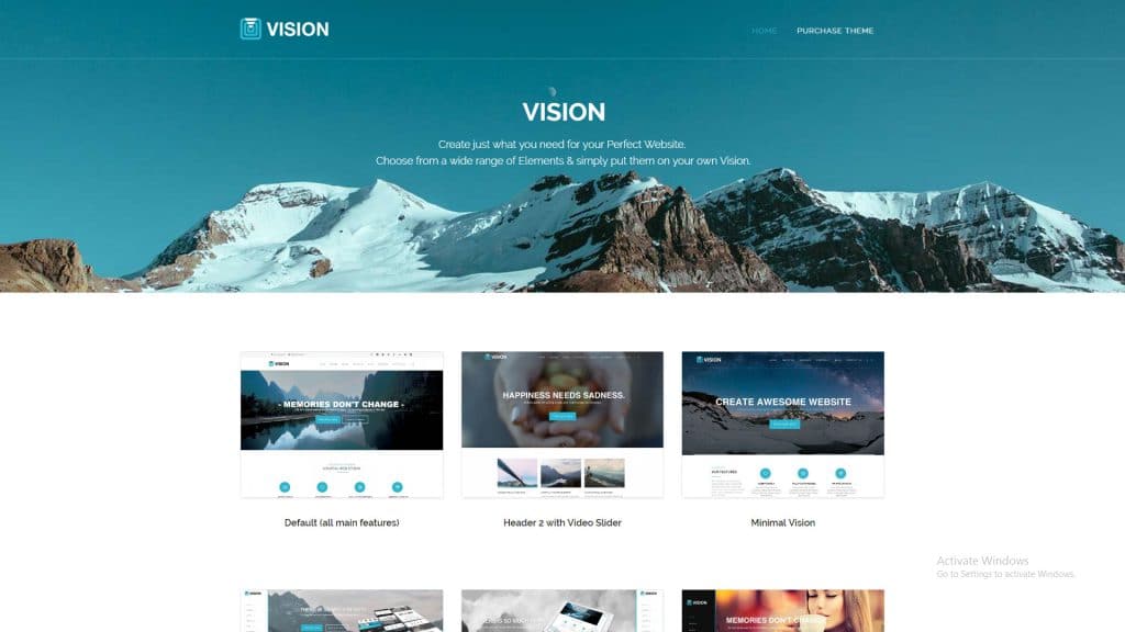 Vision
