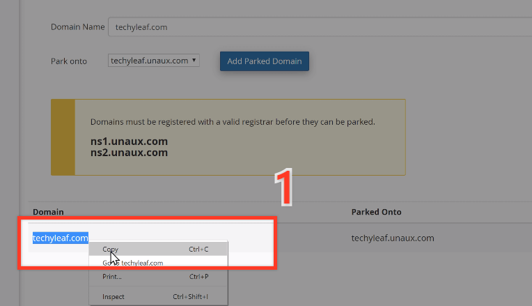 Copy your domain name