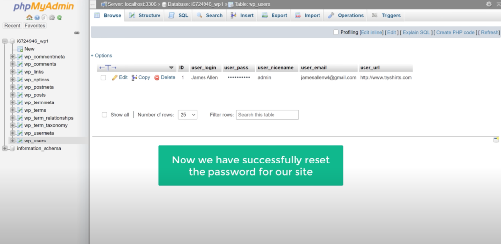 successfully reset password