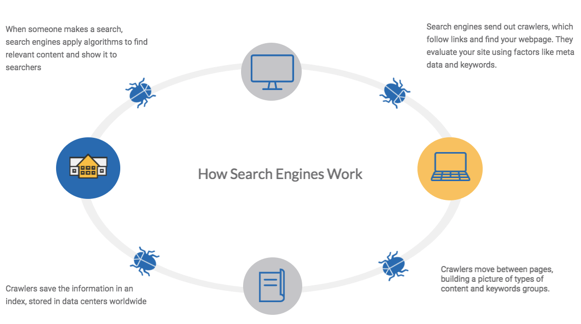 Why SEO Is Important For Your Business - Website Learners