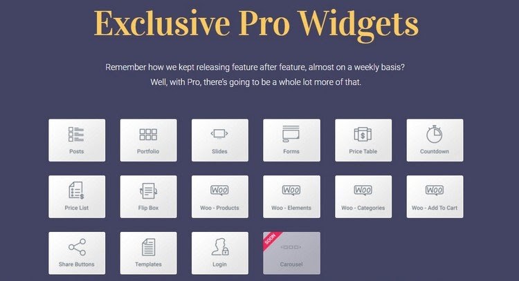 Elementor exclusive Pro widgets