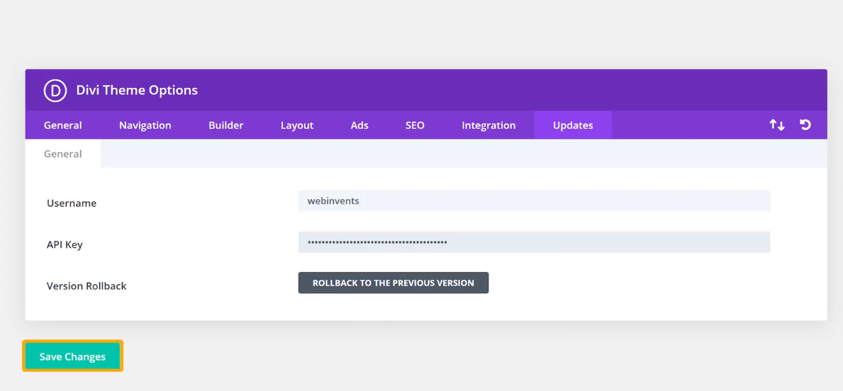 Paste the copied API key and Save changes