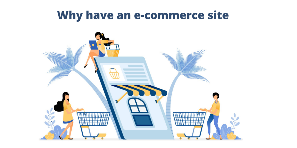 why have an e-commerce website